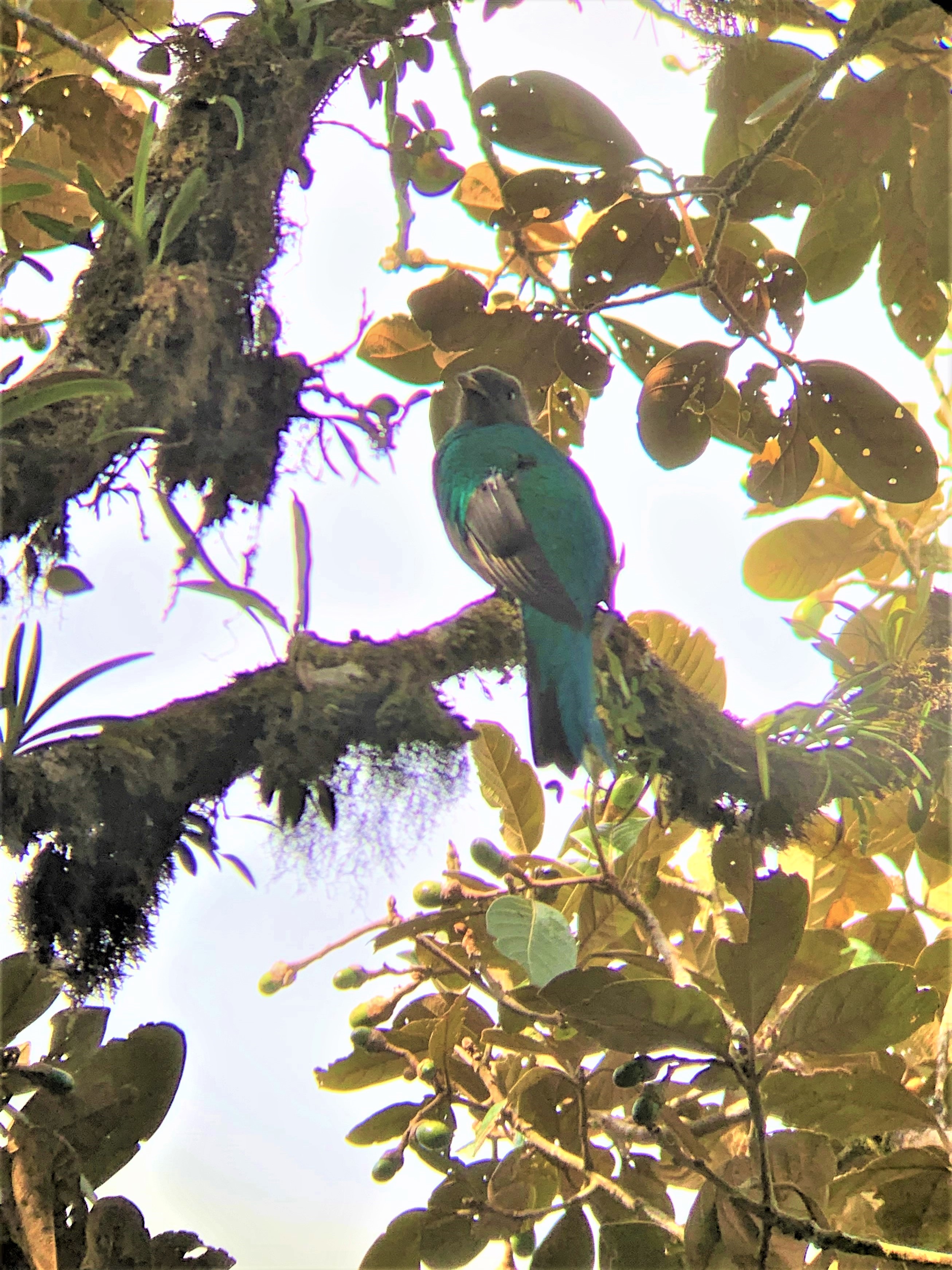 Costa Rica